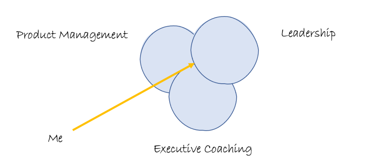 Read more about the article How Do I Figure Out What Type of Coaching is Right For Me?